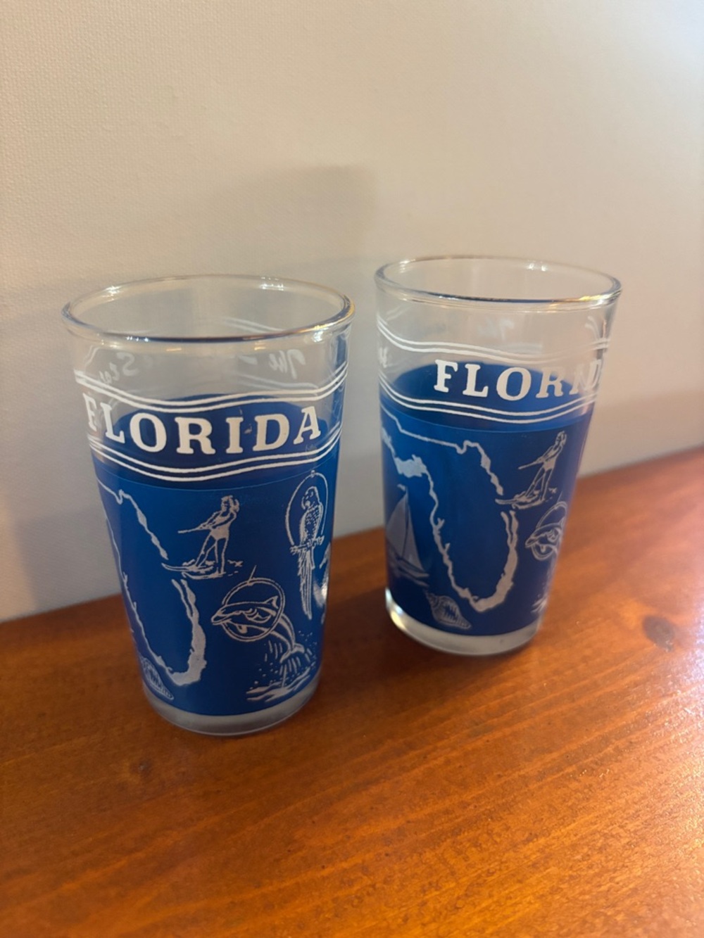 Vintage Florida Blue Juice Glasses - Set of 2